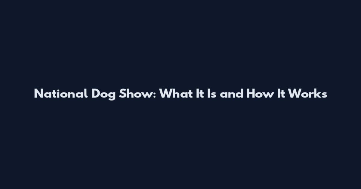 National Dog Show: What It Is and How It Works