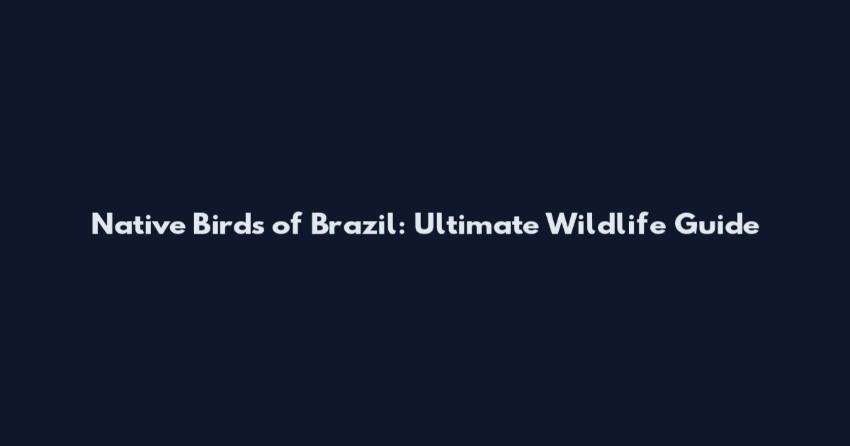 Native Birds of Brazil: Ultimate Wildlife Guide