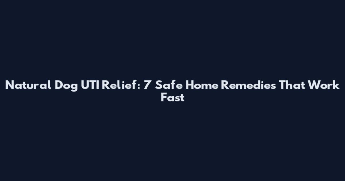 Natural Dog UTI Relief: 7 Safe Home Remedies That Work Fast