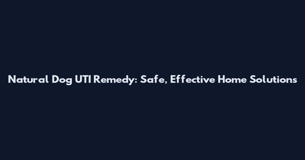 Natural Dog UTI Remedy: Safe, Effective Home Solutions