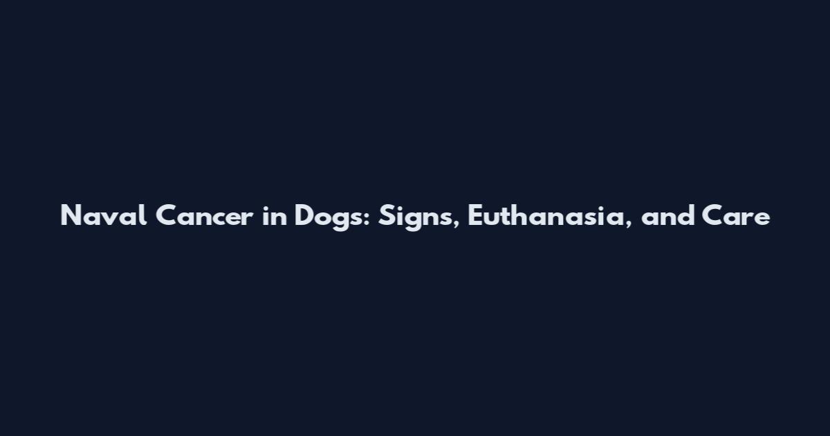Naval Cancer in Dogs: Signs, Euthanasia, and Care