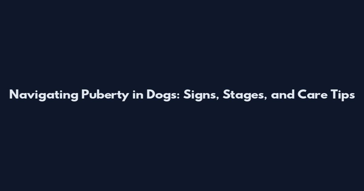 Navigating Puberty in Dogs: Signs, Stages, and Care Tips