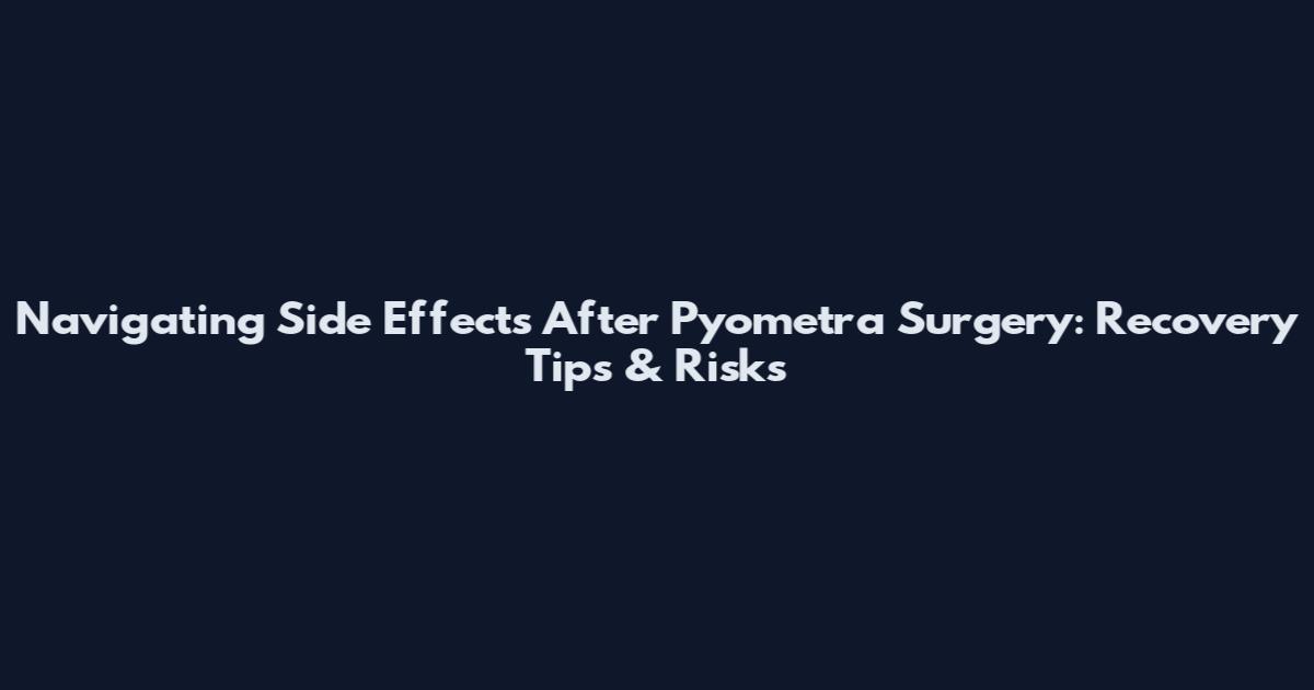 Navigating Side Effects After Pyometra Surgery: Recovery Tips & Risks