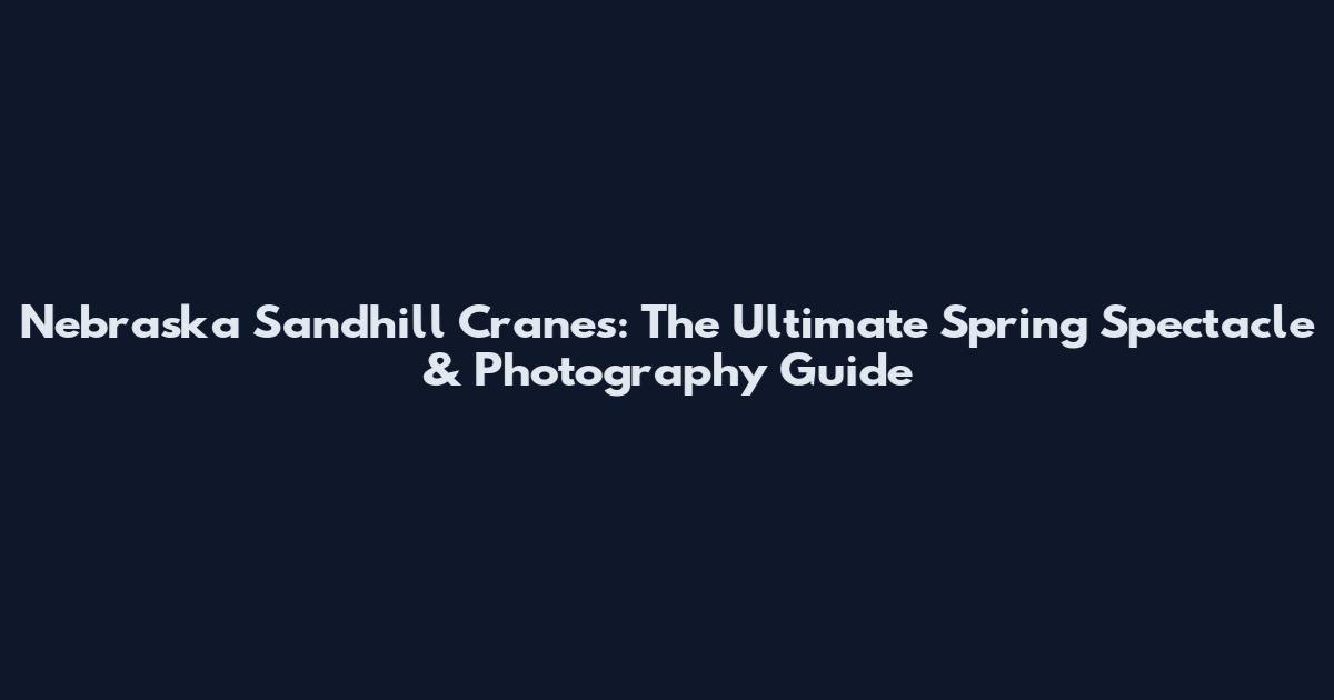 Nebraska Sandhill Cranes: The Ultimate Spring Spectacle & Photography Guide