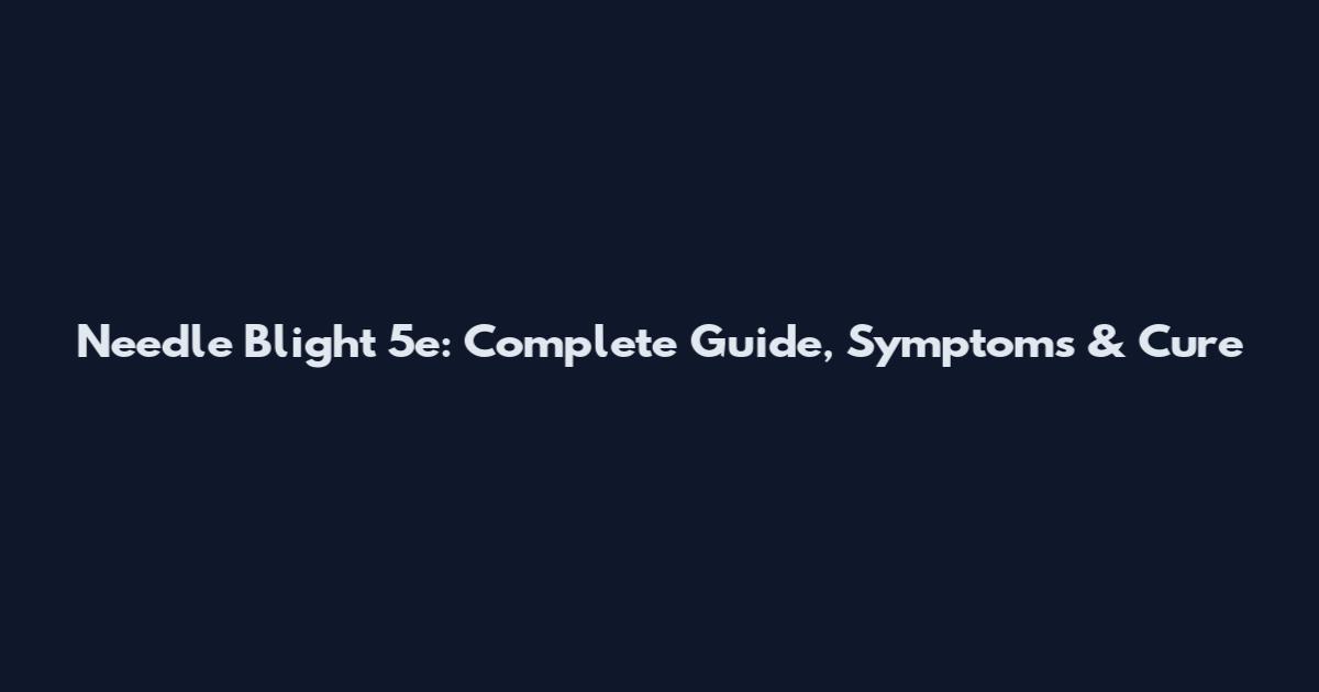 Needle Blight 5e: Complete Guide, Symptoms & Cure