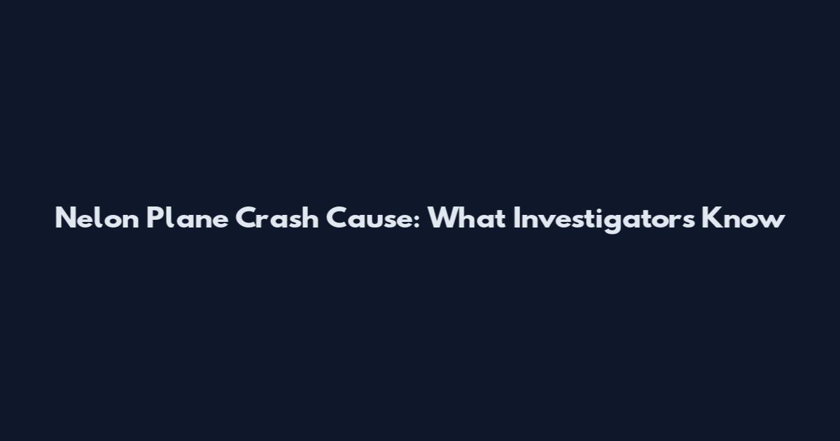 Nelon Plane Crash Cause: What Investigators Know