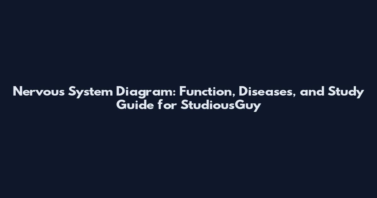 Nervous System Diagram: Function, Diseases, and Study Guide for StudiousGuy
