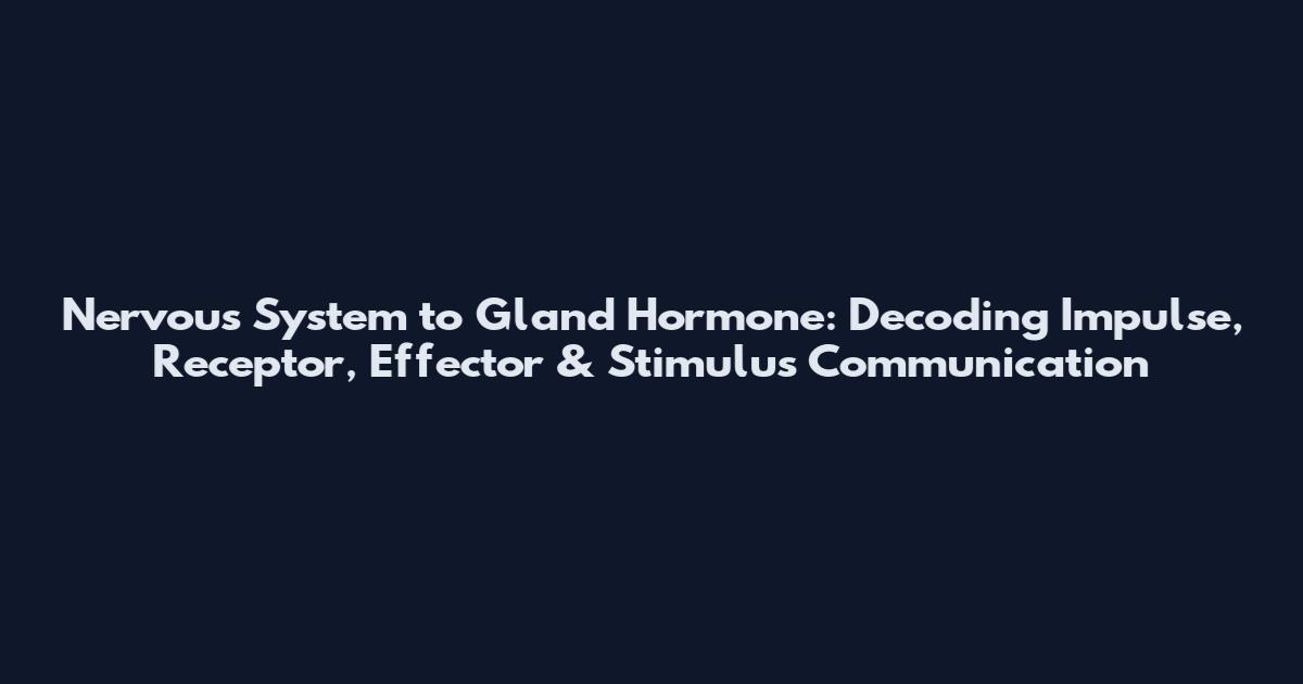 Nervous System to Gland Hormone: Decoding Impulse, Receptor, Effector & Stimulus Communication