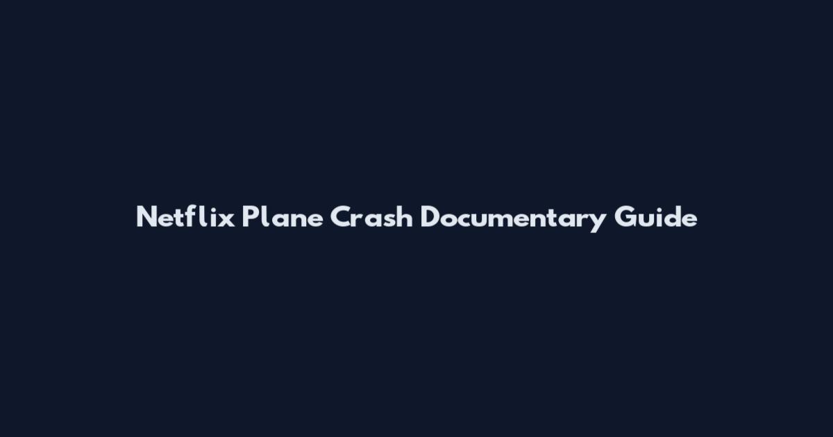 Netflix Plane Crash Documentary Guide
