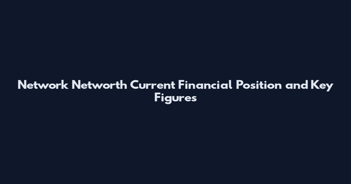 Network Networth Current Financial Position and Key Figures