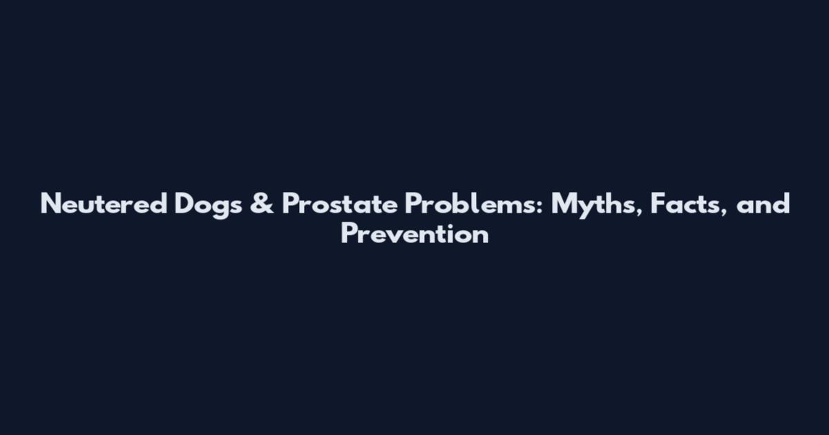 Neutered Dogs & Prostate Problems: Myths, Facts, and Prevention