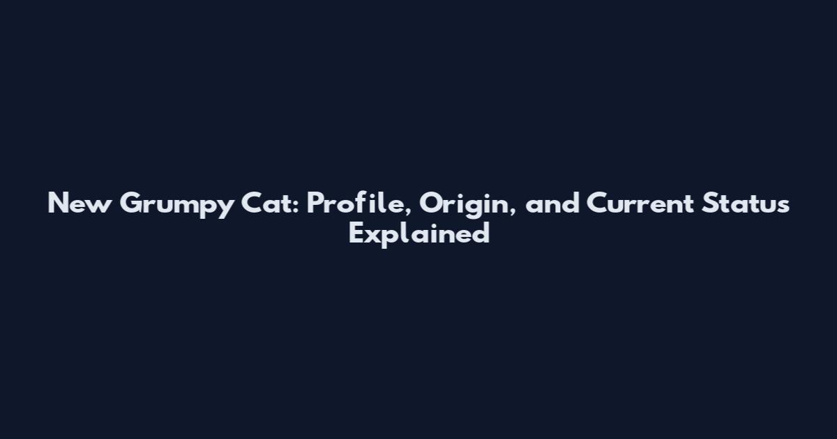 New Grumpy Cat: Profile, Origin, and Current Status Explained