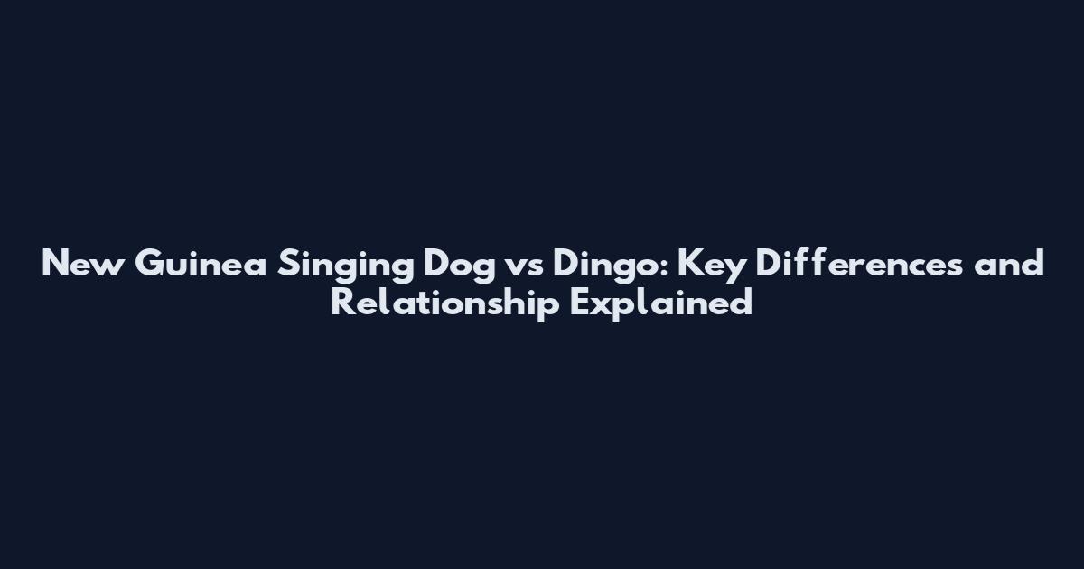 New Guinea Singing Dog vs Dingo: Key Differences and Relationship Explained