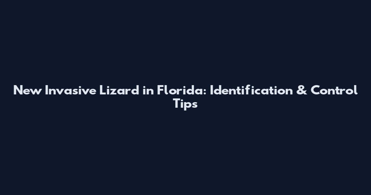New Invasive Lizard in Florida: Identification & Control Tips