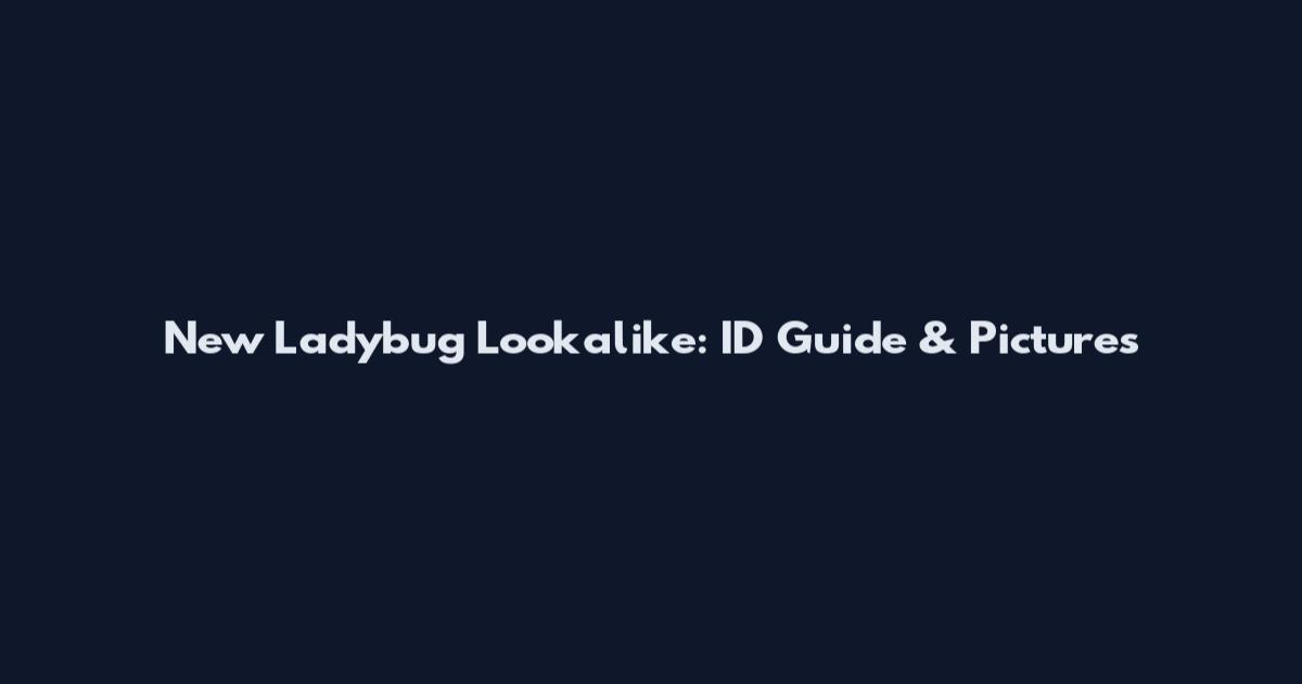 New Ladybug Lookalike: ID Guide & Pictures