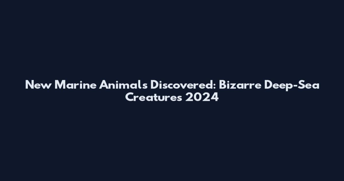 New Marine Animals Discovered: Bizarre Deep-Sea Creatures 2024