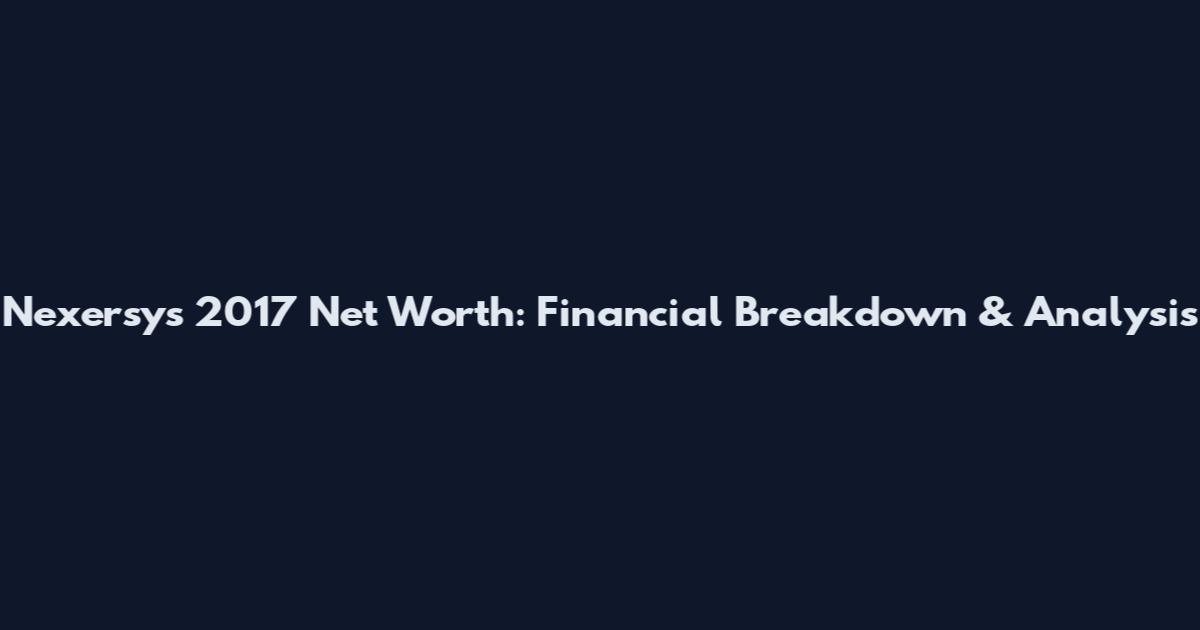 Nexersys 2017 Net Worth: Financial Breakdown & Analysis