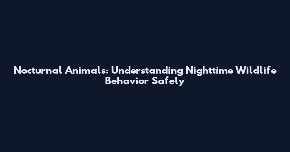Nocturnal Animals: Understanding Nighttime Wildlife Behavior Safely