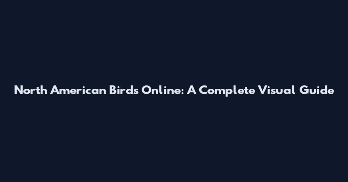 North American Birds Online: A Complete Visual Guide