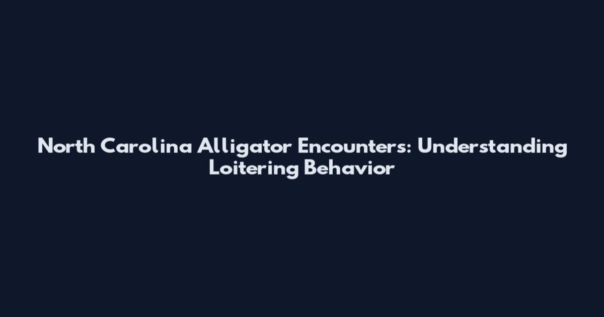 North Carolina Alligator Encounters: Understanding Loitering Behavior