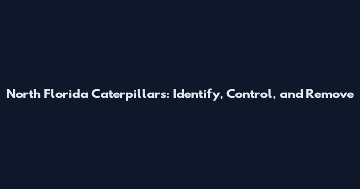 North Florida Caterpillars: Identify, Control, and Remove