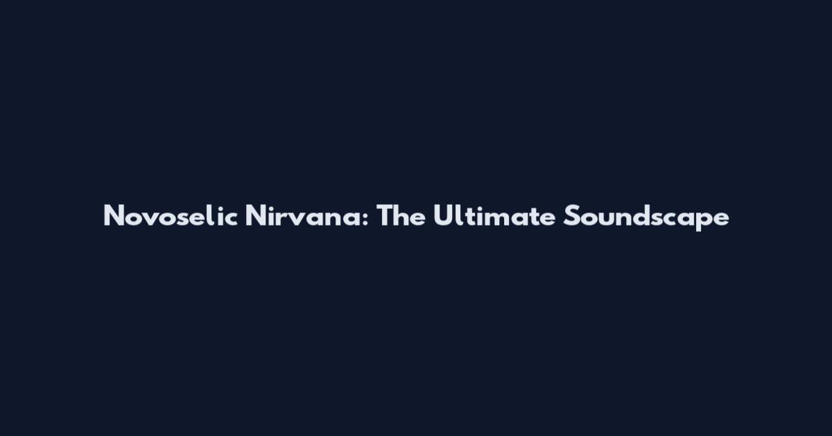 Novoselic Nirvana: The Ultimate Soundscape