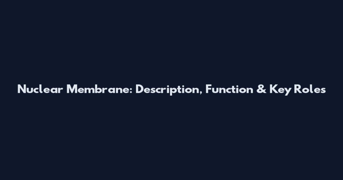 Nuclear Membrane: Description, Function & Key Roles