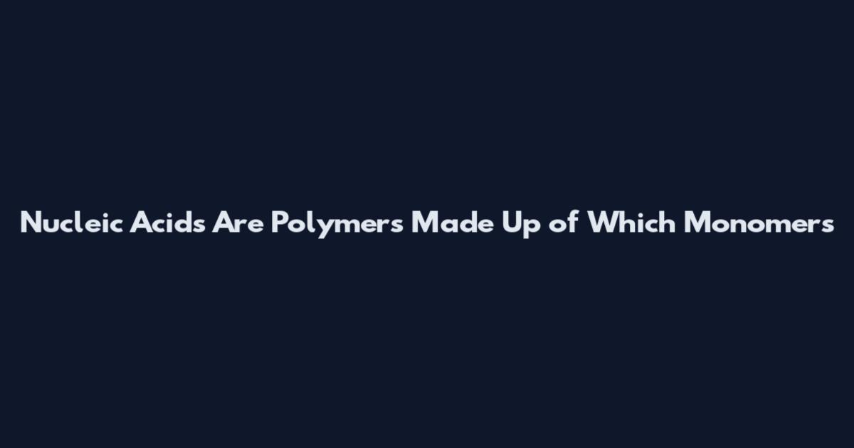 Nucleic Acids Are Polymers Made Up of Which Monomers