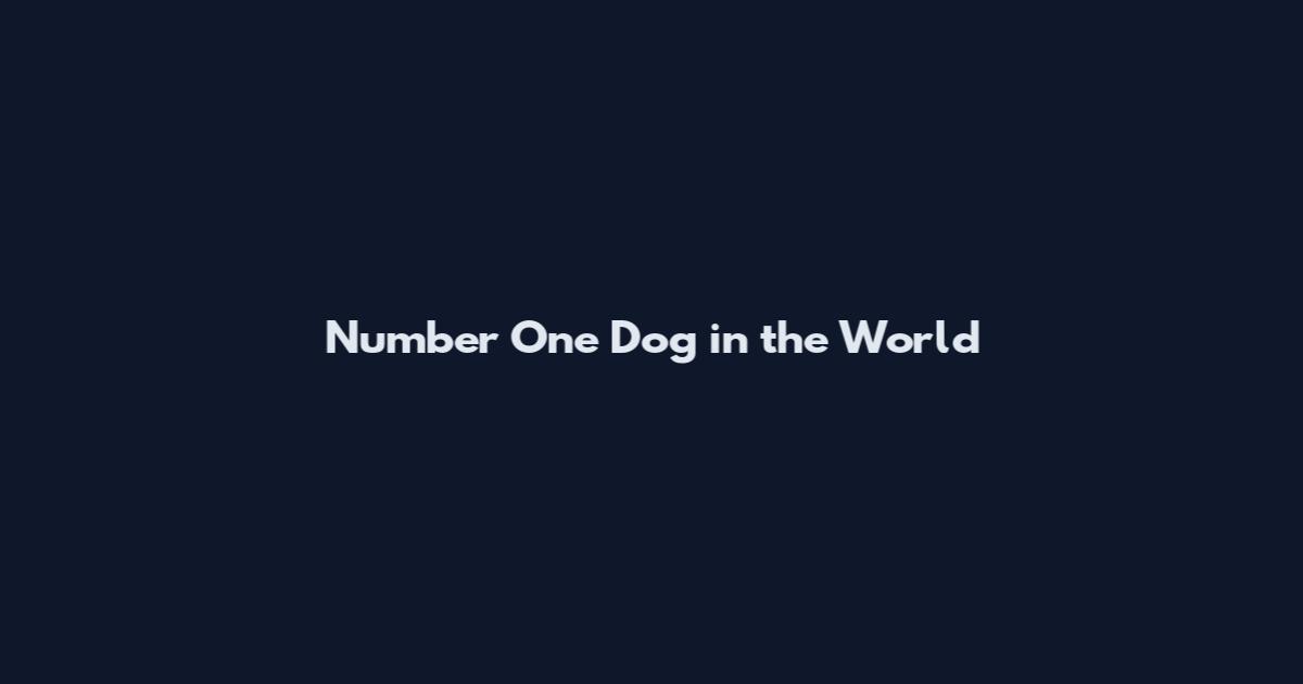 Number One Dog in the World