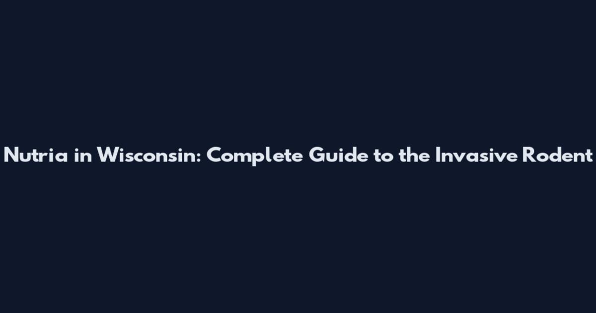 Nutria in Wisconsin: Complete Guide to the Invasive Rodent
