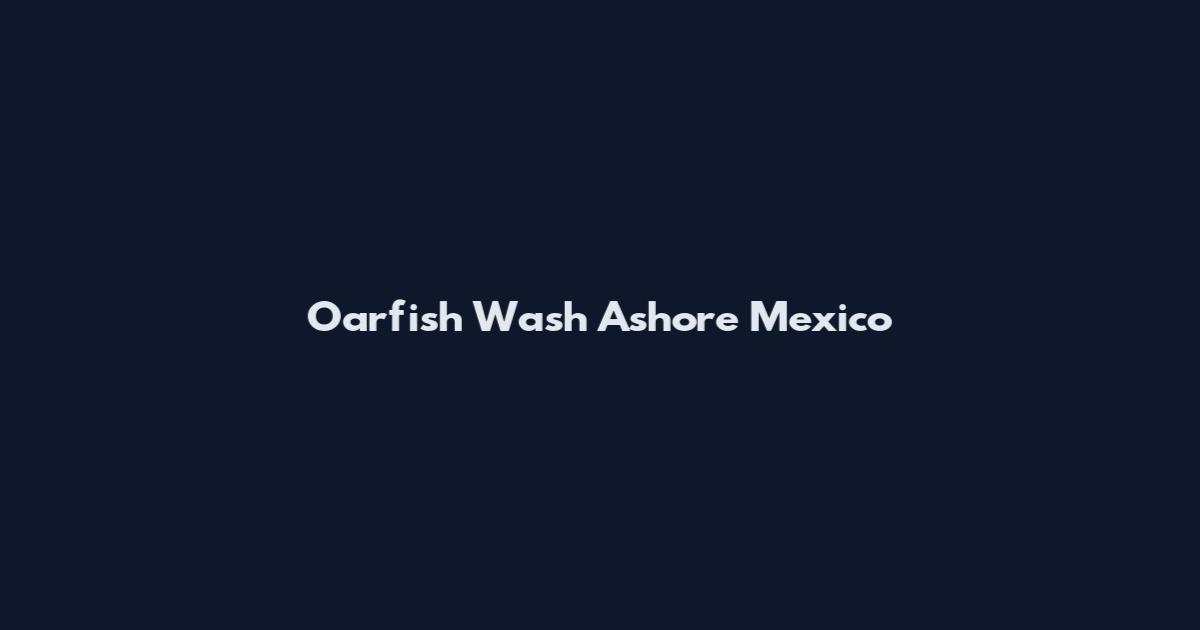 Oarfish Wash Ashore Mexico