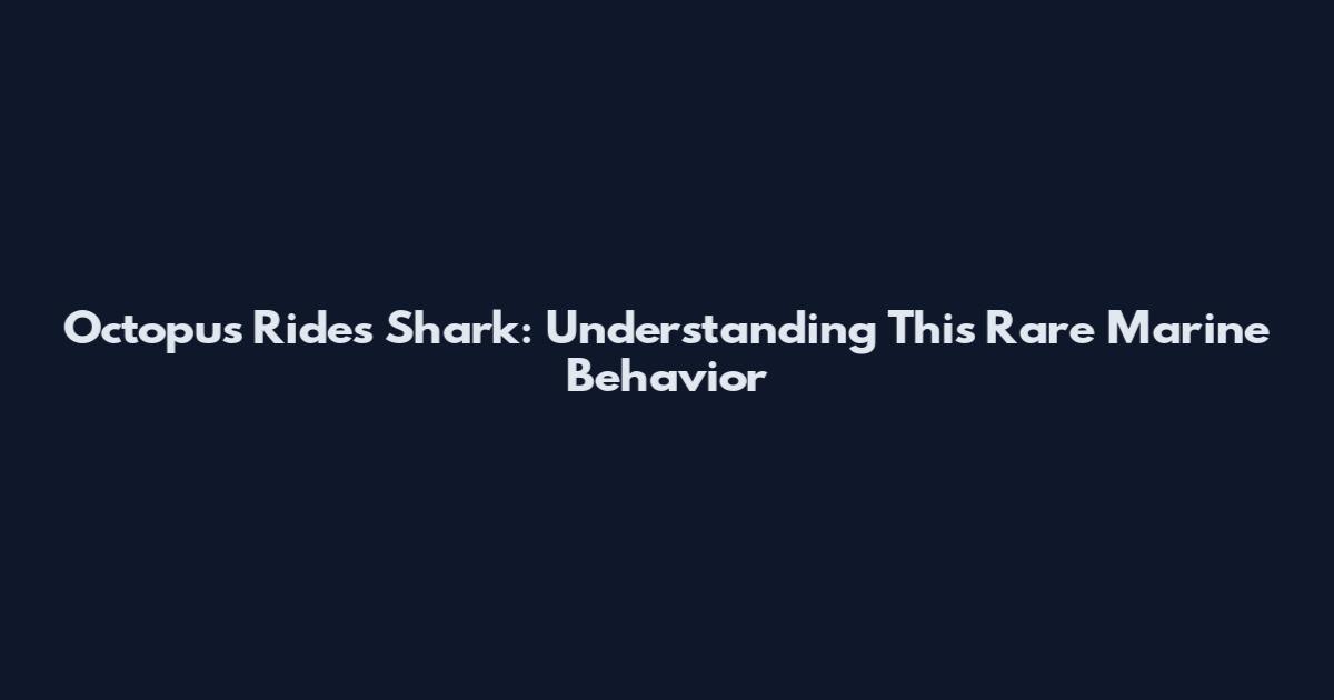 Octopus Rides Shark: Understanding This Rare Marine Behavior
