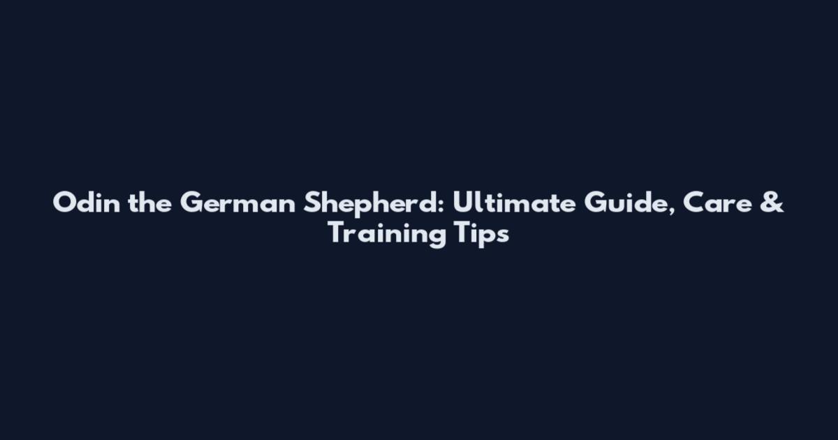 Odin the German Shepherd: Ultimate Guide, Care & Training Tips