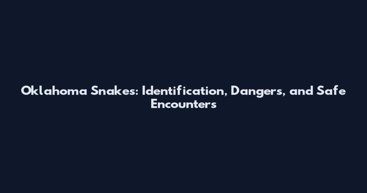 Oklahoma Snakes: Identification, Dangers, and Safe Encounters