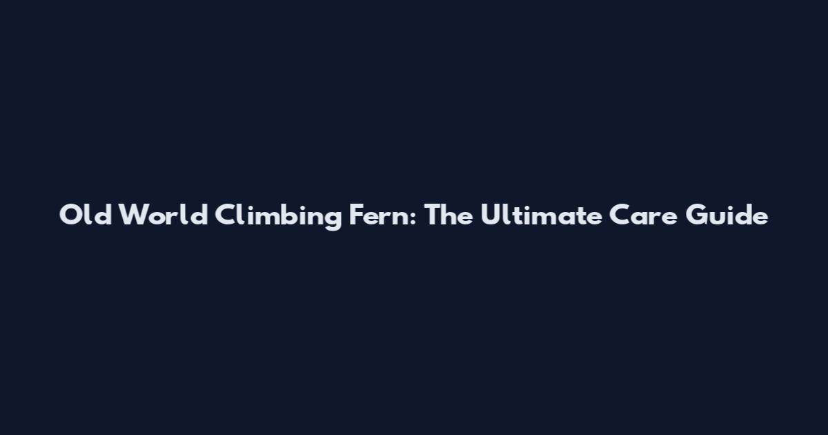 Old World Climbing Fern: The Ultimate Care Guide