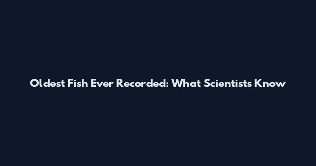 Oldest Fish Ever Recorded: What Scientists Know