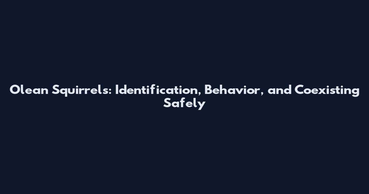 Olean Squirrels: Identification, Behavior, and Coexisting Safely