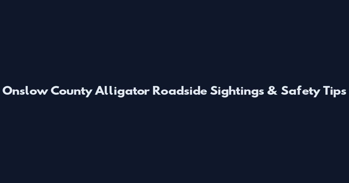 Onslow County Alligator Roadside Sightings & Safety Tips