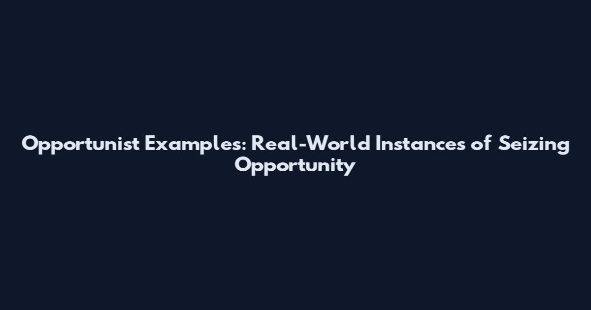 Opportunist Examples: Real-World Instances of Seizing Opportunity