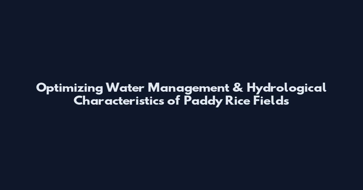 Optimizing Water Management & Hydrological Characteristics of Paddy Rice Fields