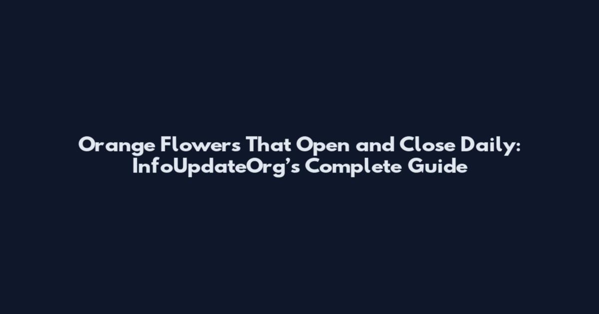 Orange Flowers That Open and Close Daily: InfoUpdateOrg’s Complete Guide