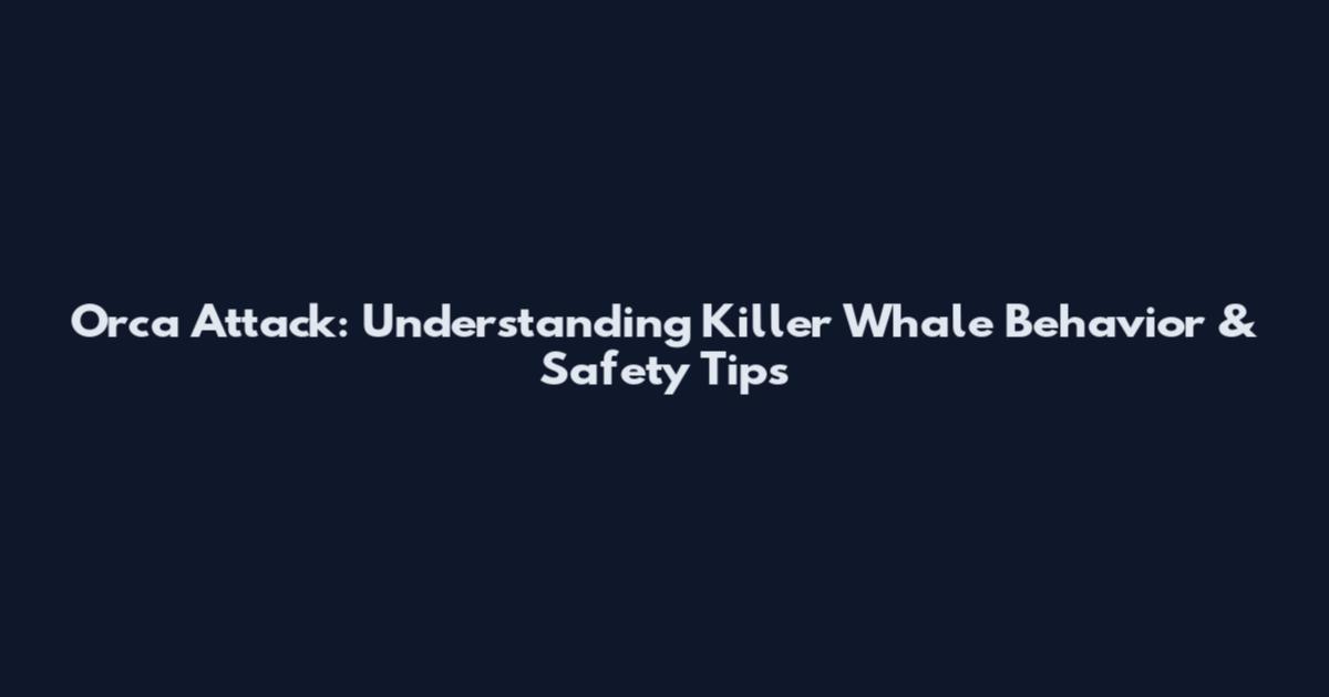 Orca Attack: Understanding Killer Whale Behavior & Safety Tips