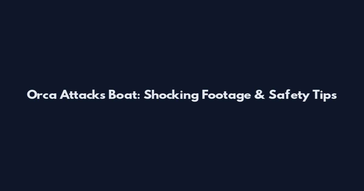Orca Attacks Boat: Shocking Footage & Safety Tips