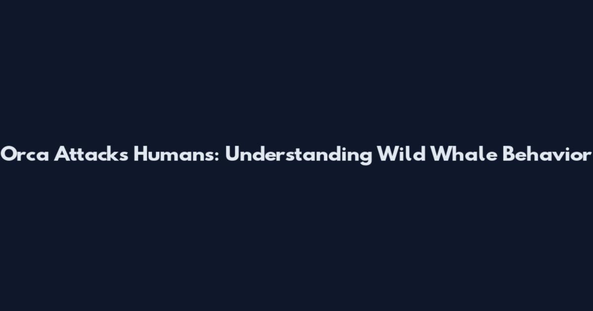 Orca Attacks Humans: Understanding Wild Whale Behavior