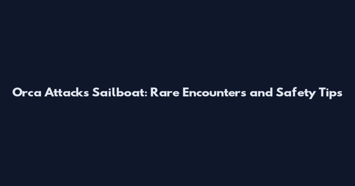 Orca Attacks Sailboat: Rare Encounters and Safety Tips