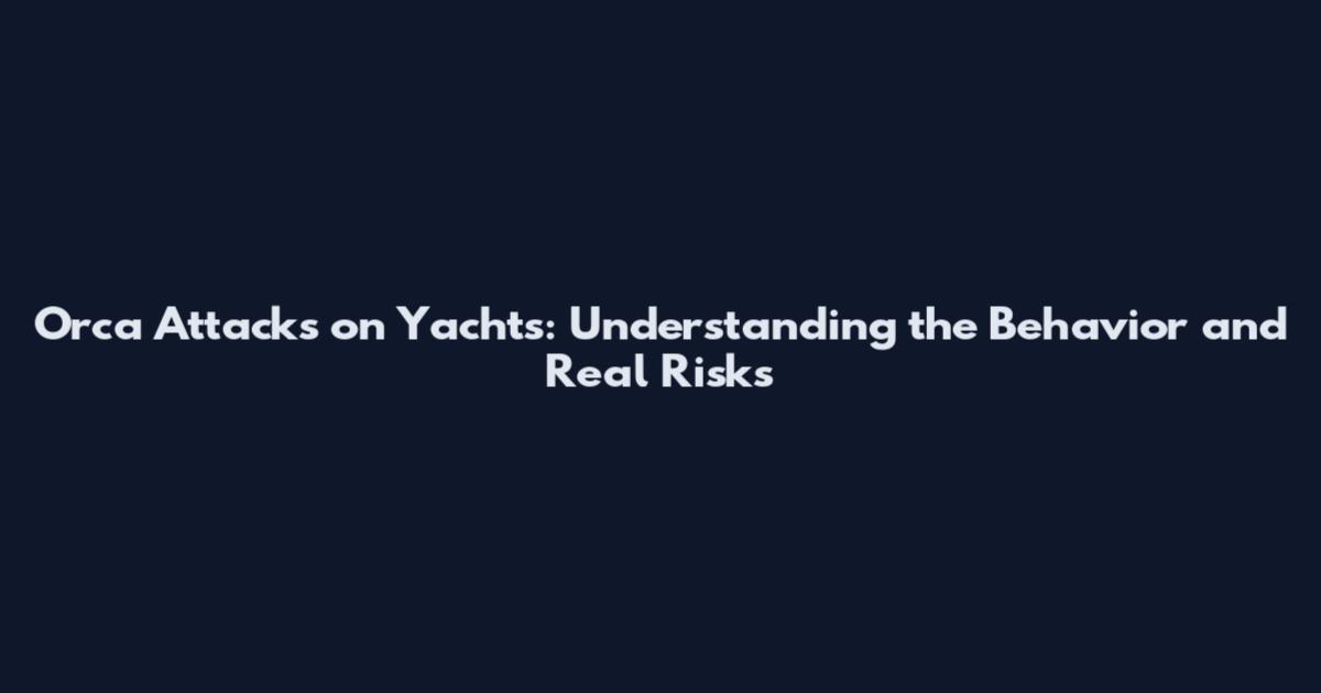 Orca Attacks on Yachts: Understanding the Behavior and Real Risks