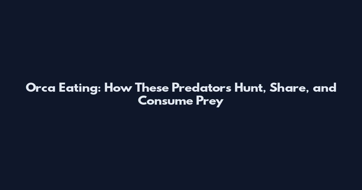 Orca Eating: How These Predators Hunt, Share, and Consume Prey