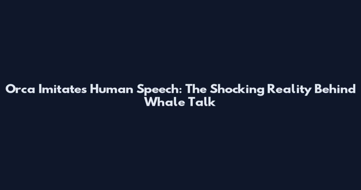 Orca Imitates Human Speech: The Shocking Reality Behind Whale Talk