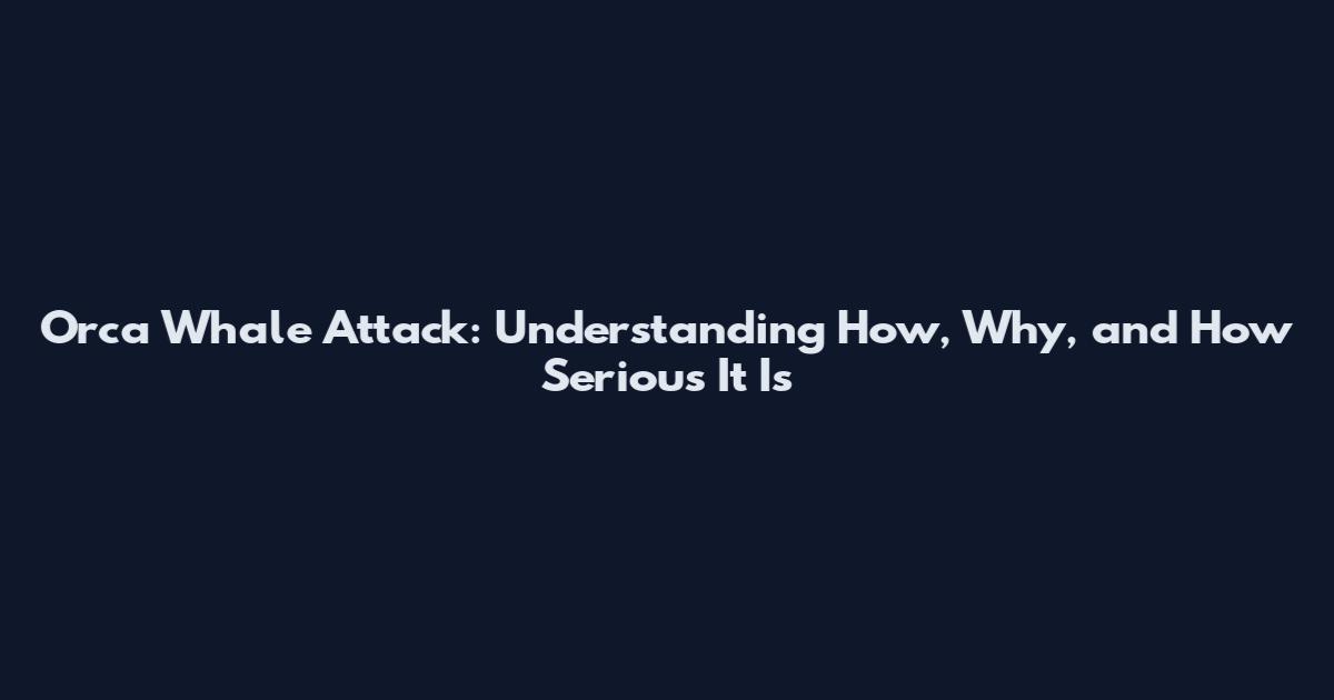 Orca Whale Attack: Understanding How, Why, and How Serious It Is
