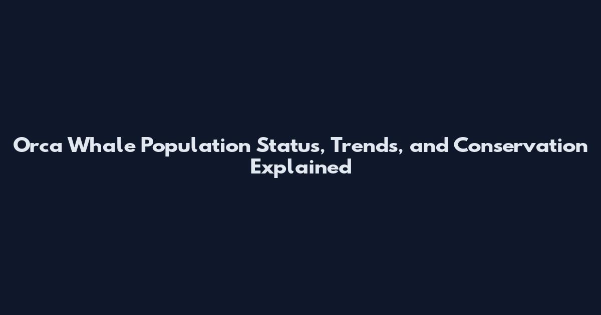 Orca Whale Population Status, Trends, and Conservation Explained